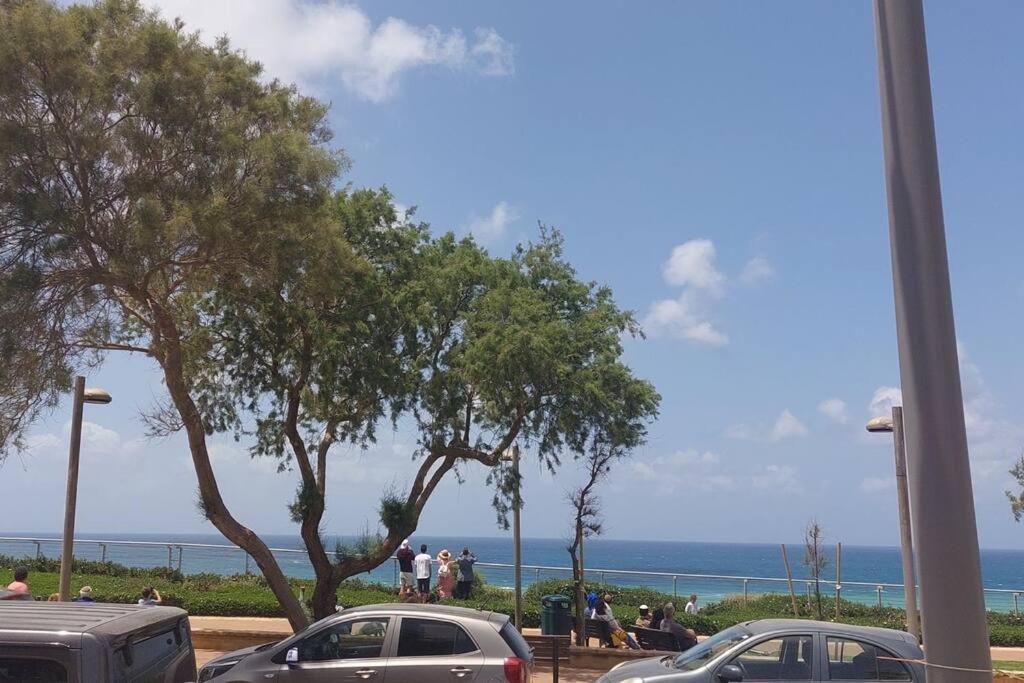 شقة King David نتانيا المظهر الخارجي الصورة